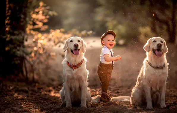 Картинка собаки, настроение, мальчик, ребёнок, две собаки