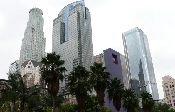 City, USA, Los Angeles, California, Downtown, Palms