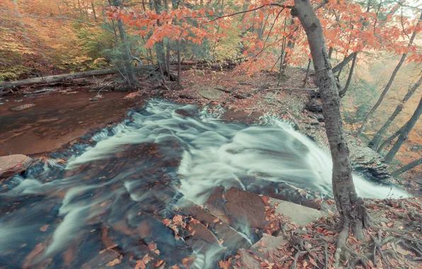 Картинка осень, природа, река, камни, поток