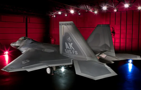 Истребитель, освещение, поколения, пятого, многоцелевой, F-22 Raptor, «Раптор»