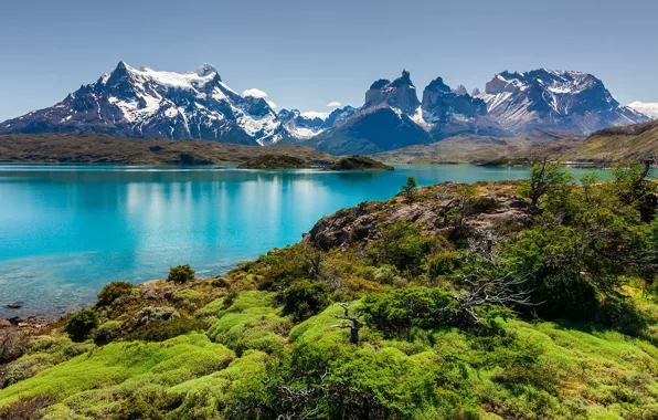Лес, горы, природа, Чили, Chile, Национальный парк Торрес-дель-Пайне, Lake Pehoé in Torres del Paine National …