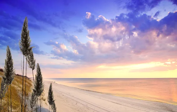 Beach, ocean, seaside, bay