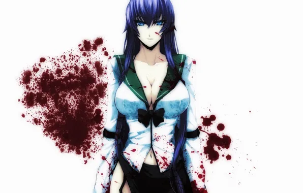Грудь, взгляд, кровь, ярость, highschool of the dead, saeko busujima
