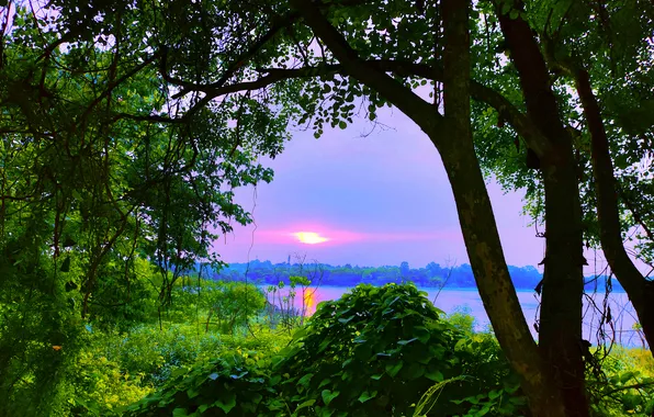 Sky, Sun, Water, Sunrise, Dawn, Morning, Lake, Trees