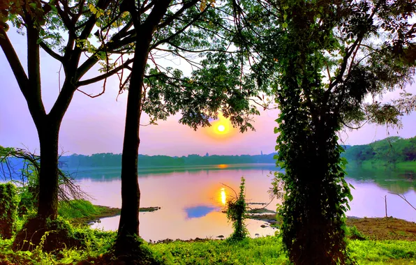 Sun, Water, Sunrise, Dawn, Morning, Lake, Trees, Reflection