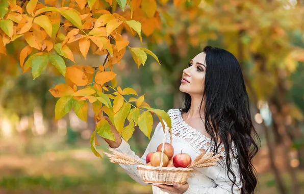 Картинка осень, листья, волосы, яблоки, Девушка, брюнетка, Георгий Дьяков