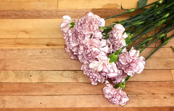 Цветы, букет, Гвоздики