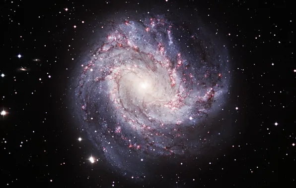 Картинка галактика, созвездие, спиральная, Гидра, NGC 5236, M 83, Южная Вертушка