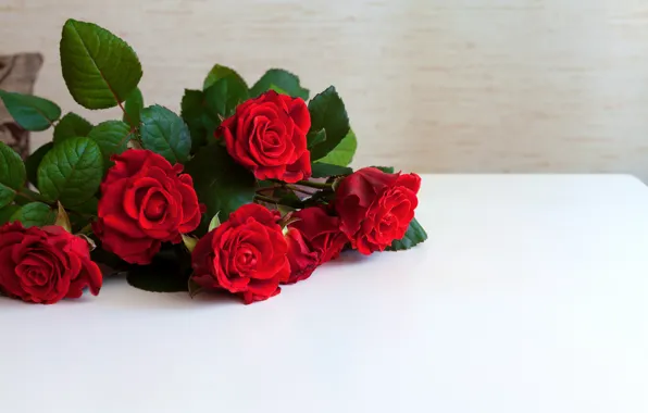 Розы, красные, Red, flowers, Roses