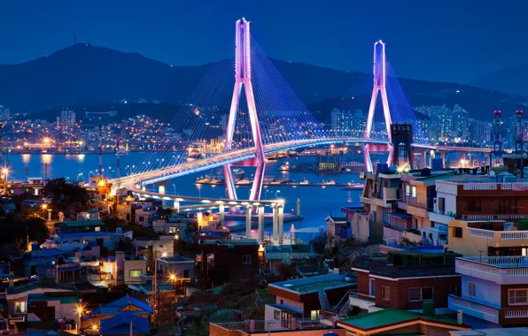 Мост, здания, дома, залив, ночной город, South Korea, Южная Корея, Пусан