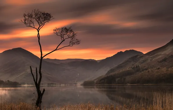 Закат, горы, озеро, дерево, Англия, England, Озёрный край, Lake District