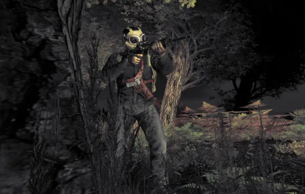 Game, DayZ, dayz standalone, Survival