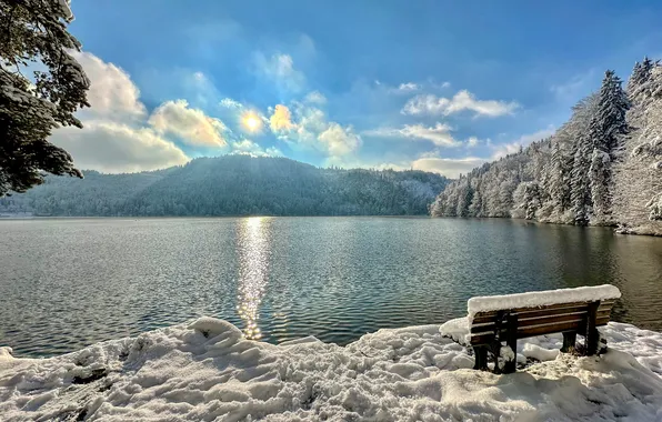 Зима, лес, снег, горы, озеро, скамья