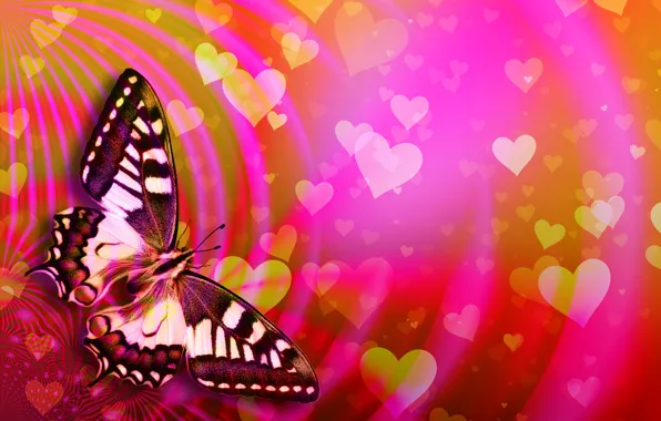 Бабочка, сердечки, День Святого Валентина
