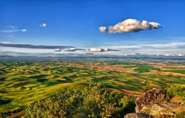 Обои Palouse, Steptoe Butte State Park, панорама, Washington, холмы на ...