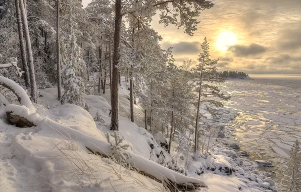 Картинка зима, лес, снег, пейзаж, природа, озеро, берег, утро