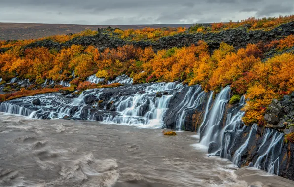 Осень, лес, деревья, река, скалы, берег, течение, водопад