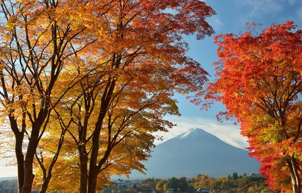 Картинка осень, небо, листья, деревья, озеро, дома, Япония, гора Фудзияма
