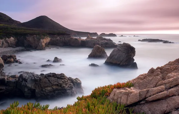 Картинка California, Big Sur, Garrapata State Park