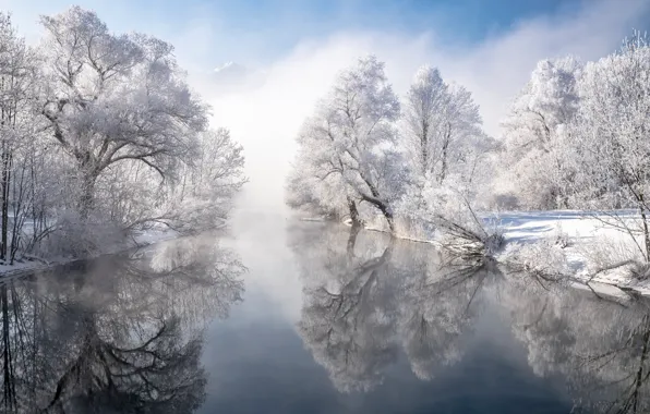 Зима, деревья, отражение, река, Германия, Бавария, Germany, Bavaria
