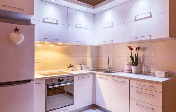 Мебель, холодильник, кухня, плита, роскошь, Design, Interior, Kitchen