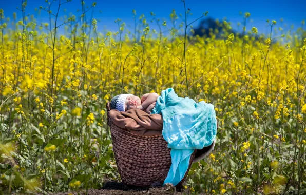 Лето, младенец, рапс