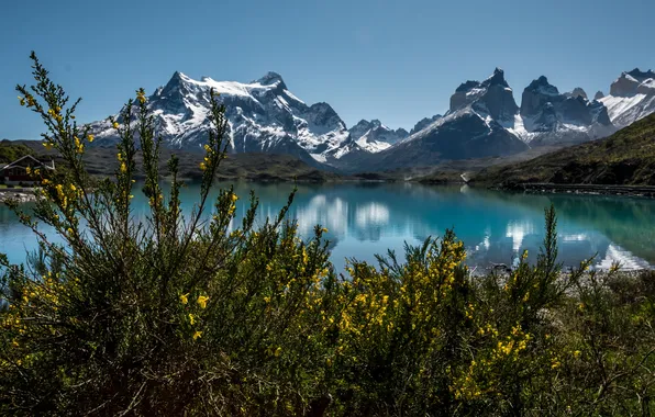 Картинка горы, озеро, дом, берег, кусты, Чили