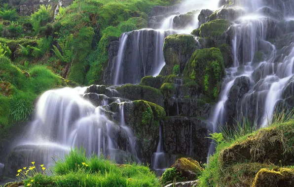 Трава, природа, камни, водопад, каскад