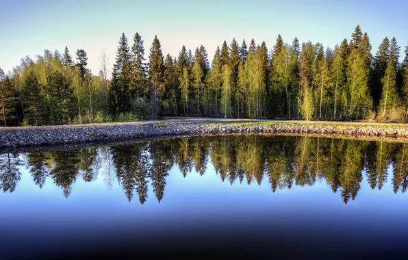 Картинка лес, фото, канал, Finland, Saimaa Canal
