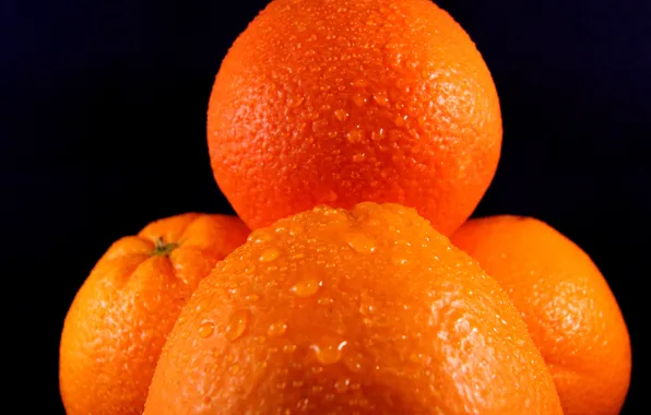 Картинка вода, капли, фон, апельсины, фрукты
