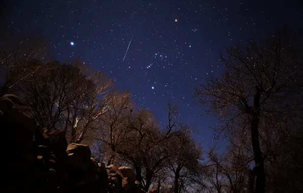 Звезды, метеор, Геминиды, Иран