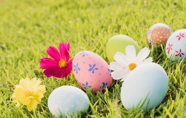 Картинка трава, цветы, яйца, Пасха, flowers, spring, Easter, eggs