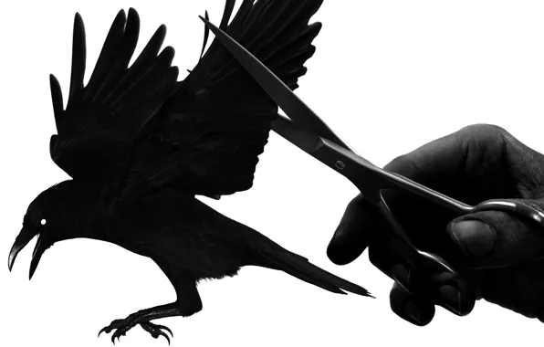 Свобода, птица, рука, крылья, ворон, ножницы
