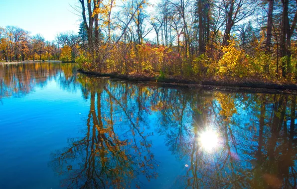 Осень, деревья, пруд, парк, отражение