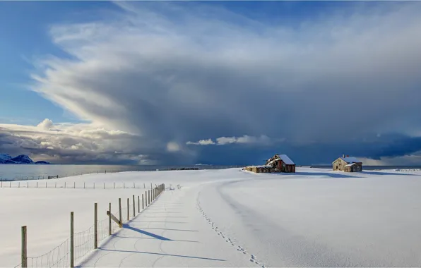 Картинка зима, снег, побережье, забор, Норвегия, Norway, сарайчики, Vesterålen