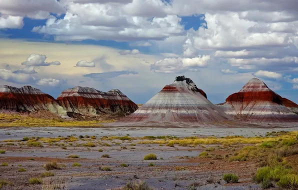 Картинка горы, скалы, краски, Аризона, США, Petrified Forest National Park
