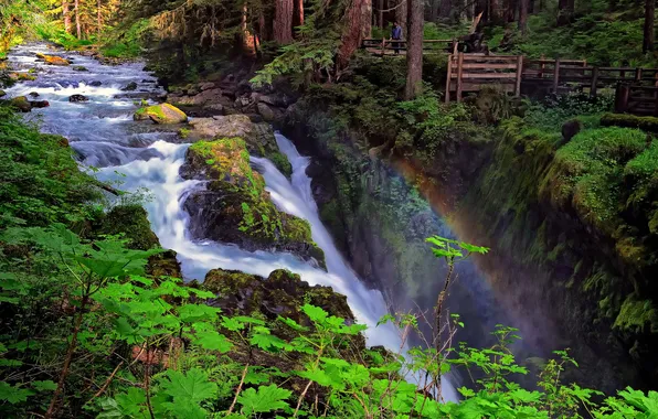 Лес, река, водопад, радуга, Washington, Olympic National Park, Sol Duc Falls