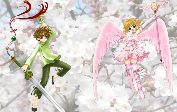 Мальчик, девочка, Card Captor Sakura, Сакура - собирательница карт
