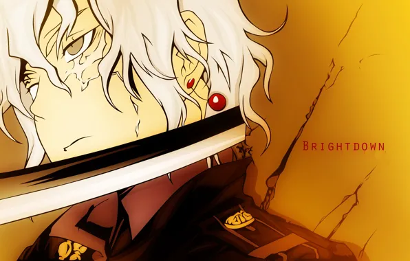 Аниме, арт, парень, D.Gray-man, Allen Walker