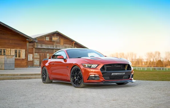 Картинка Mustang, Ford, мустанг, форд, Geiger