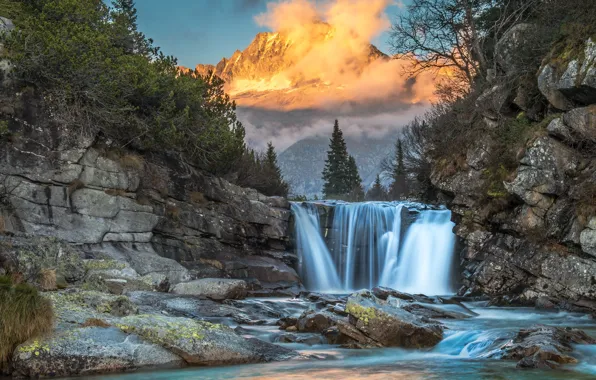 Лес, небо, солнце, облака, деревья, горы, туман, камни