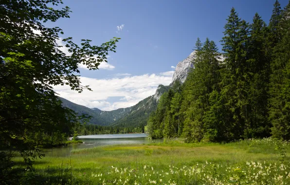 Картинка лето, горы, озеро, Германия, Альпы