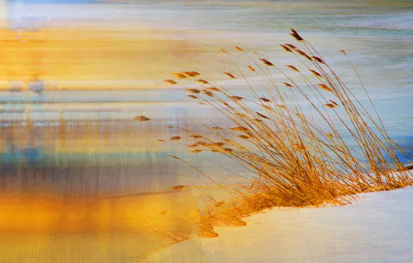 Песок, трава, природа, берег, штрих