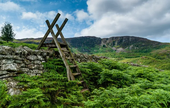 Картинка Wales, Snowdonia, Ganllwyd, Ladder stile at Coed Ganllwyd