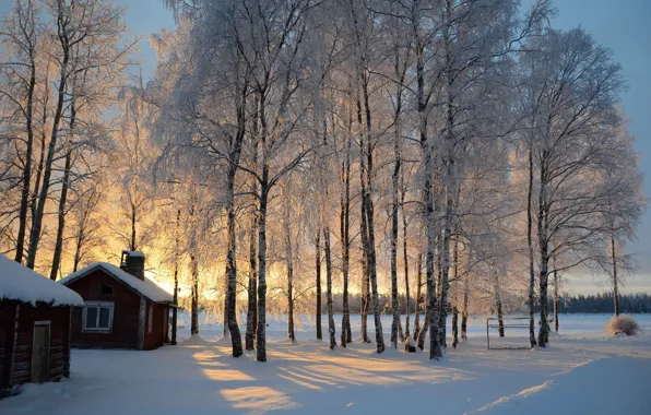 Картинка зима, снег, деревья, восход, хижина, берёзы, Финляндия, Finland