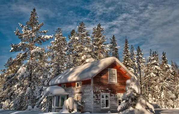 Картинка зима, снег, деревья, дом, елки, заброшенный, старый