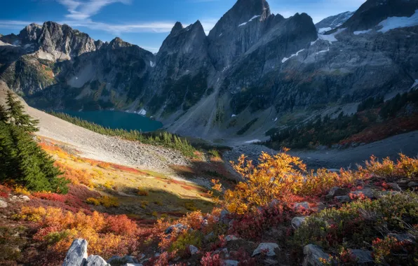 Осень, горы, камни, скалы, кустарники