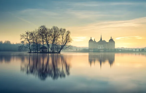 Деревья, туман, пруд, отражение, замок, рассвет, утро, Германия