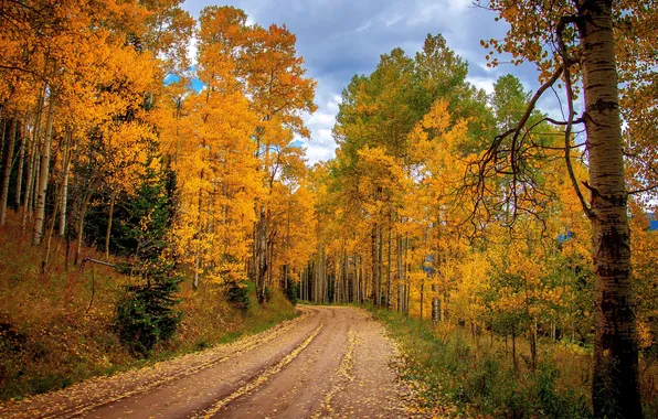 Картинка дорога, осень, лес, небо, облака, деревья, пейзаж, природа