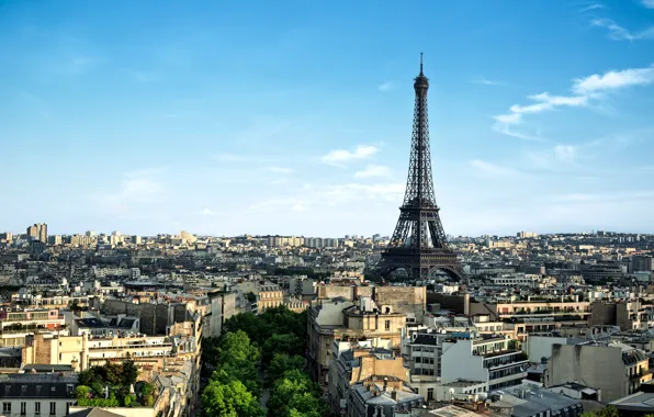 Картинка деревья, город, Франция, Париж, здания, дома, утро, панорама